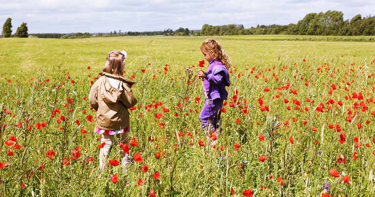 outdoor education